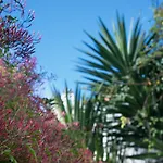 Flat With A Garden In Belem